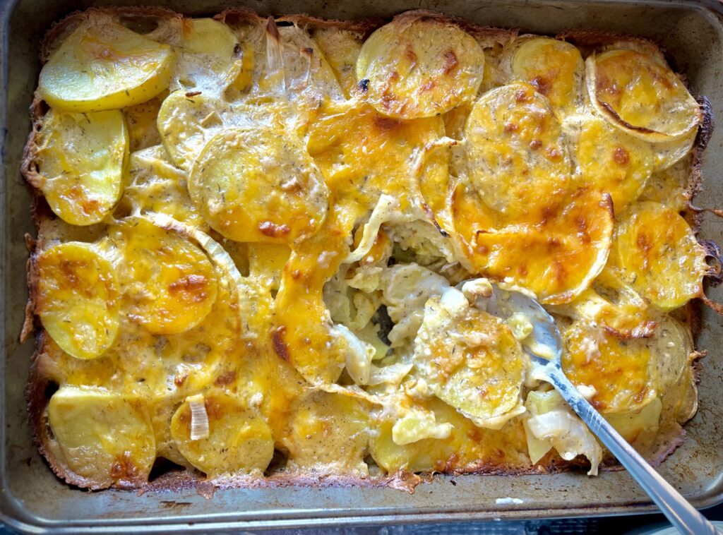 Scalloped potatoes scooped with a spoon.