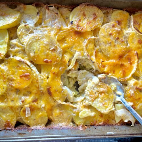 Scalloped potatoes scooped with a spoon.